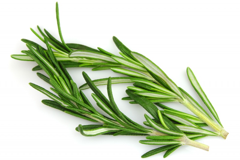 Rosemary