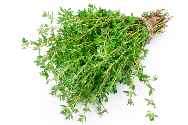 Thyme