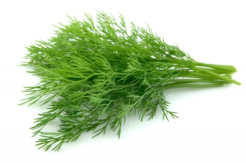 Dill