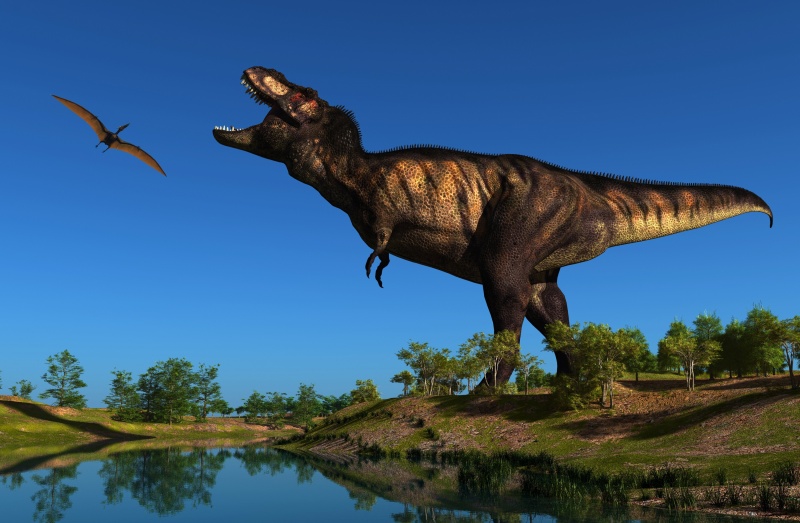 Dinosaurs