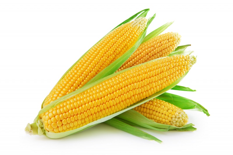 Corn