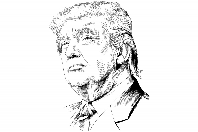 Image result for donald trump sketch