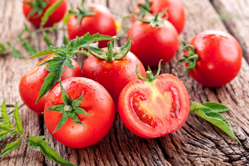 Tomatoes growing