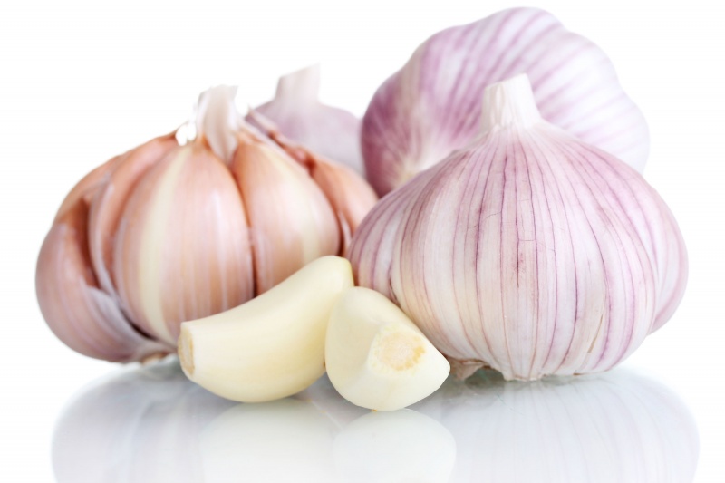 Garlic